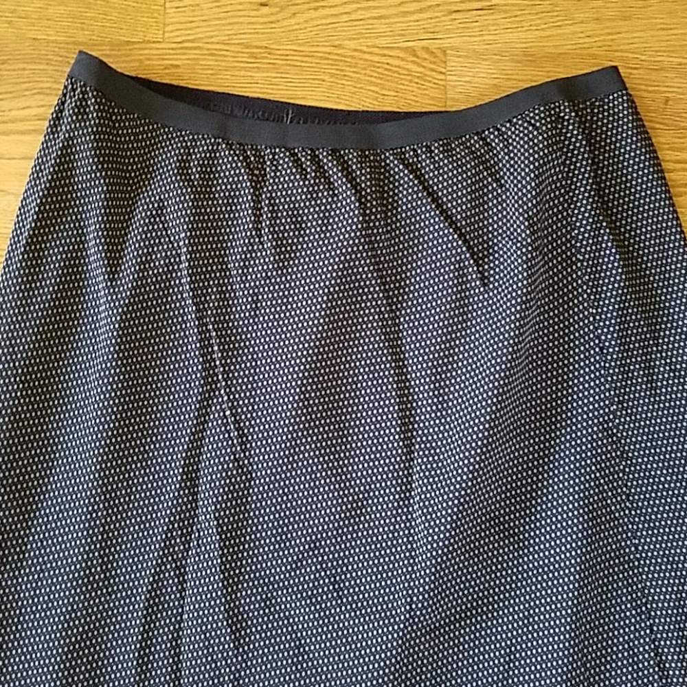 Max Studio  Full skirt